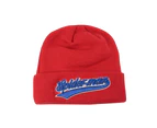 Spider-Man Official Adults Unisex Strike Beanie (Red) - NS4307