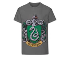 Harry Potter Official Boys Slytherin Crest T-Shirt (Charcoal) - NS4903