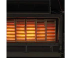 Rinnai Ultima II Inbuilt Gas Flued Home Thermostatic Fireplace Heater - NG - Gunmetal