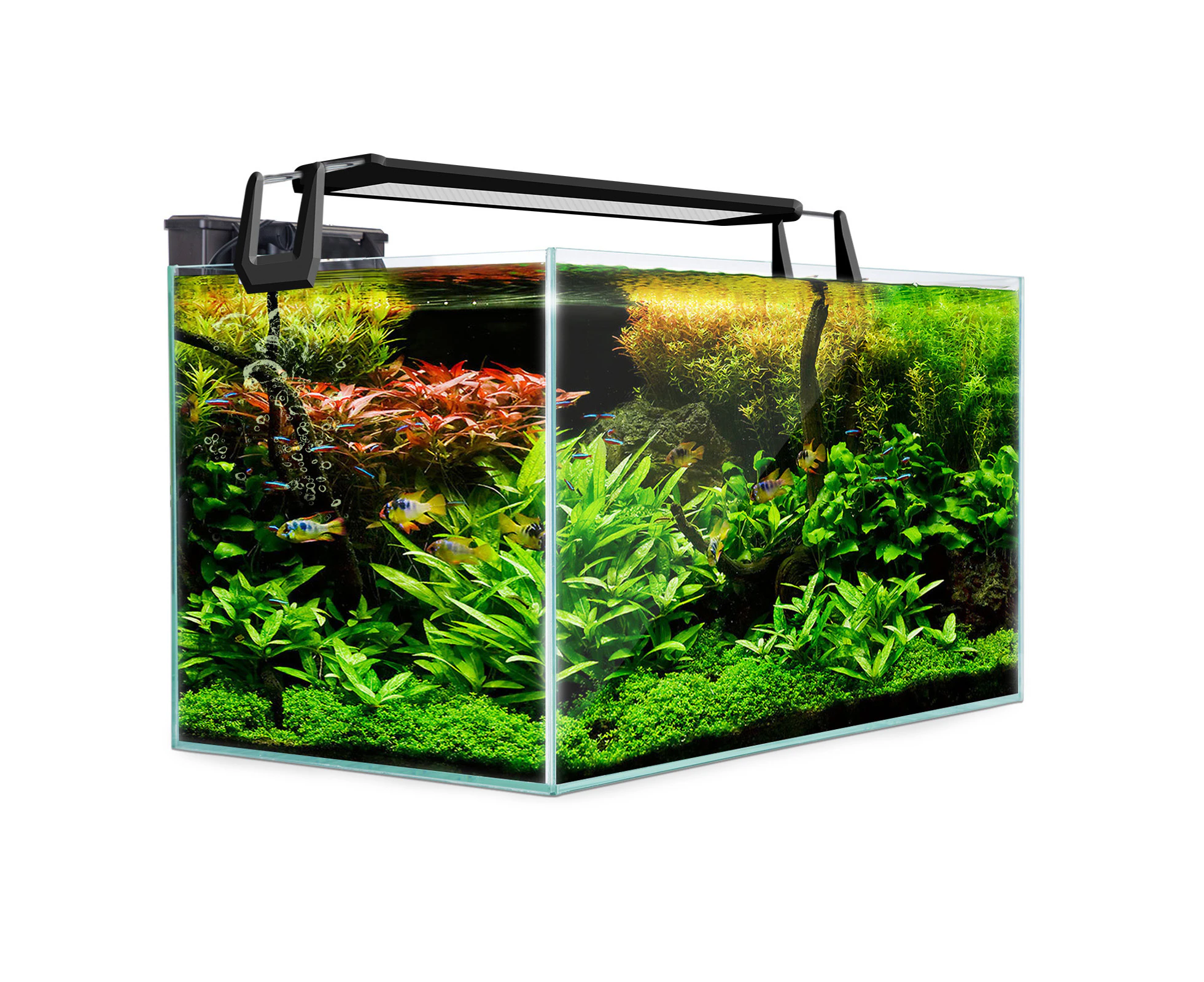 Dynamic Power Aquarium Fish Tank 39L Starfire Glass Catch .au