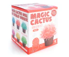 Magic Cactus Growing Kit - Rubine Red