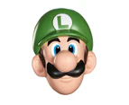 Super Mario Bros. Luigi Adult Mask