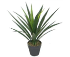 Artificial 60cm Potted Yucca Plant - Green