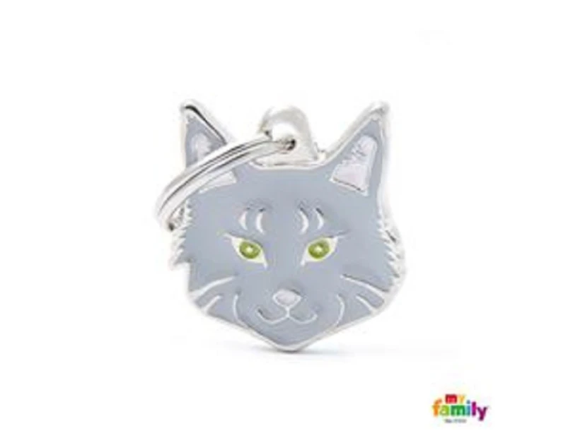 My Family ID Tags Friends Tabby Maine Coon Silver