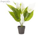 Cooper & Co. 55cm Peace Lily Artificial Potted Plant