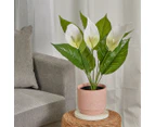 Cooper & Co. 55cm Peace Lily Artificial Potted Plant