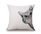 A Cat on Animal Cotton & linen Pillow Cover W-45 83704