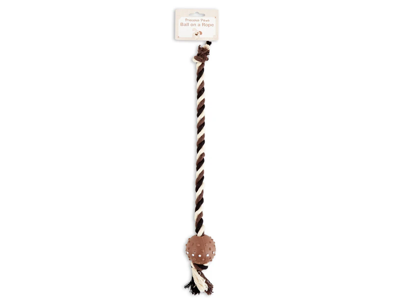 Precious Paws Puppy Ball On A Rope Toy