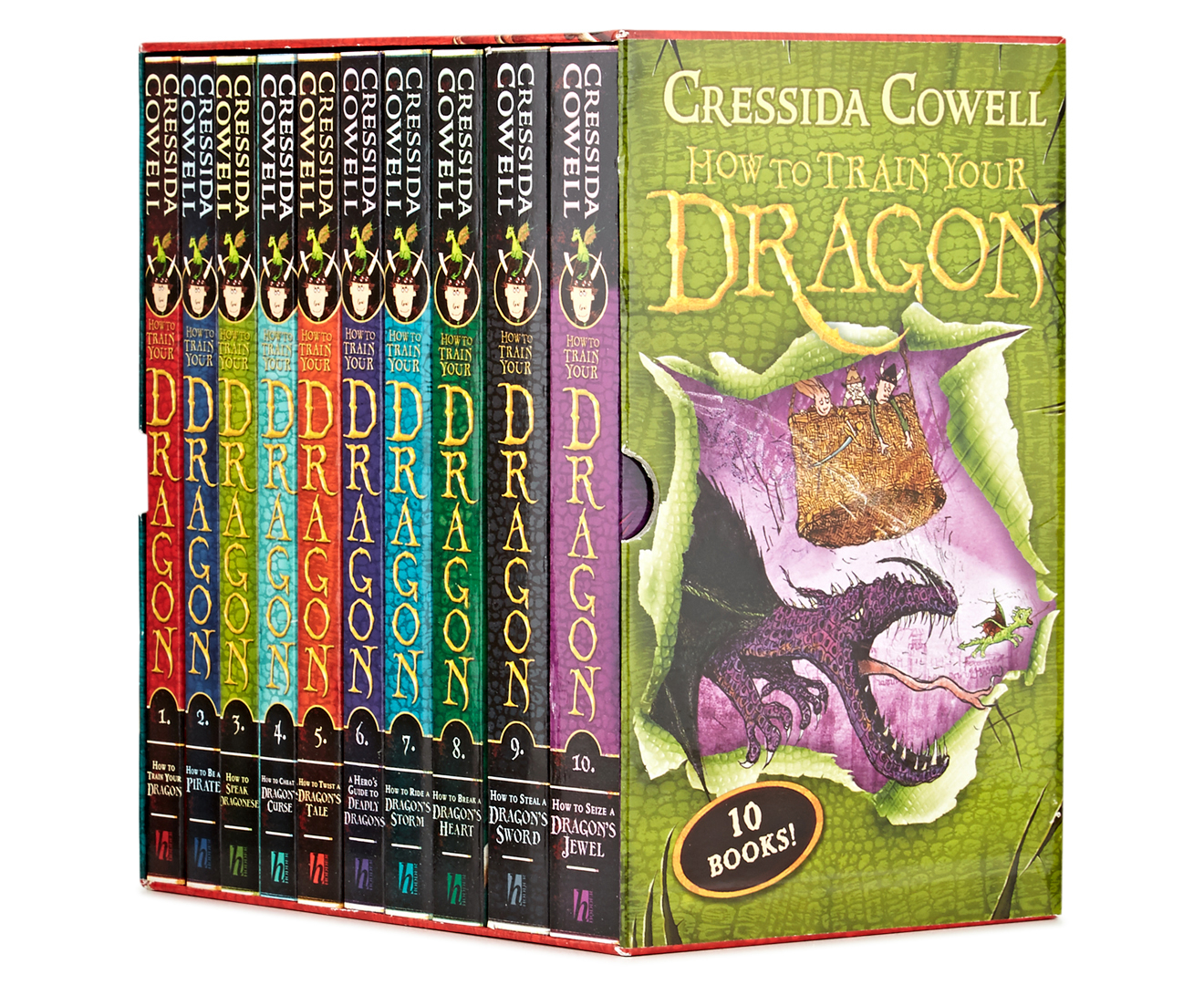 how to train your dragon book 1