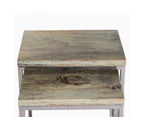 Set of 2, Ruth SIDE TABLE SET - Tamarine wood & Stainless Legs