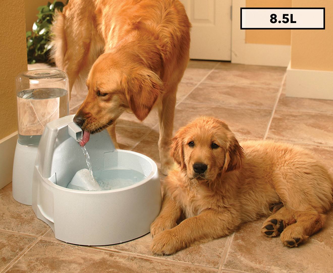 PetSafe Drinkwell 8.5L Big Dog Pet Fountain | Catch.co.nz