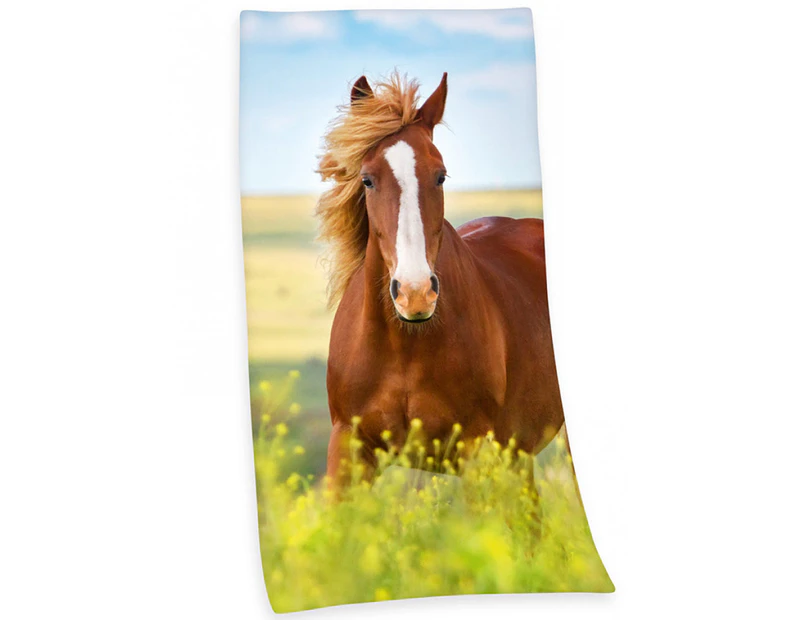 Horse Beach Towel