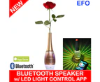 Bluetooth Rechargeable Speaker Vase Led Light Control App Android Handsfree Gold