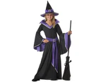 Incantasia the Glamour Witch Child Girl's Costume