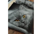 Grey Kitten Double Duvet Cover and Pillowcase Set
