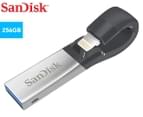 SanDisk 256GB iXpand Flash Drive 1