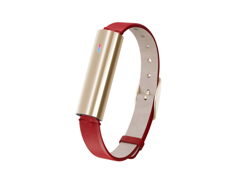 Misfit Ray Fitness Tracker w/ Leather Band - Stainless Steel/Red
