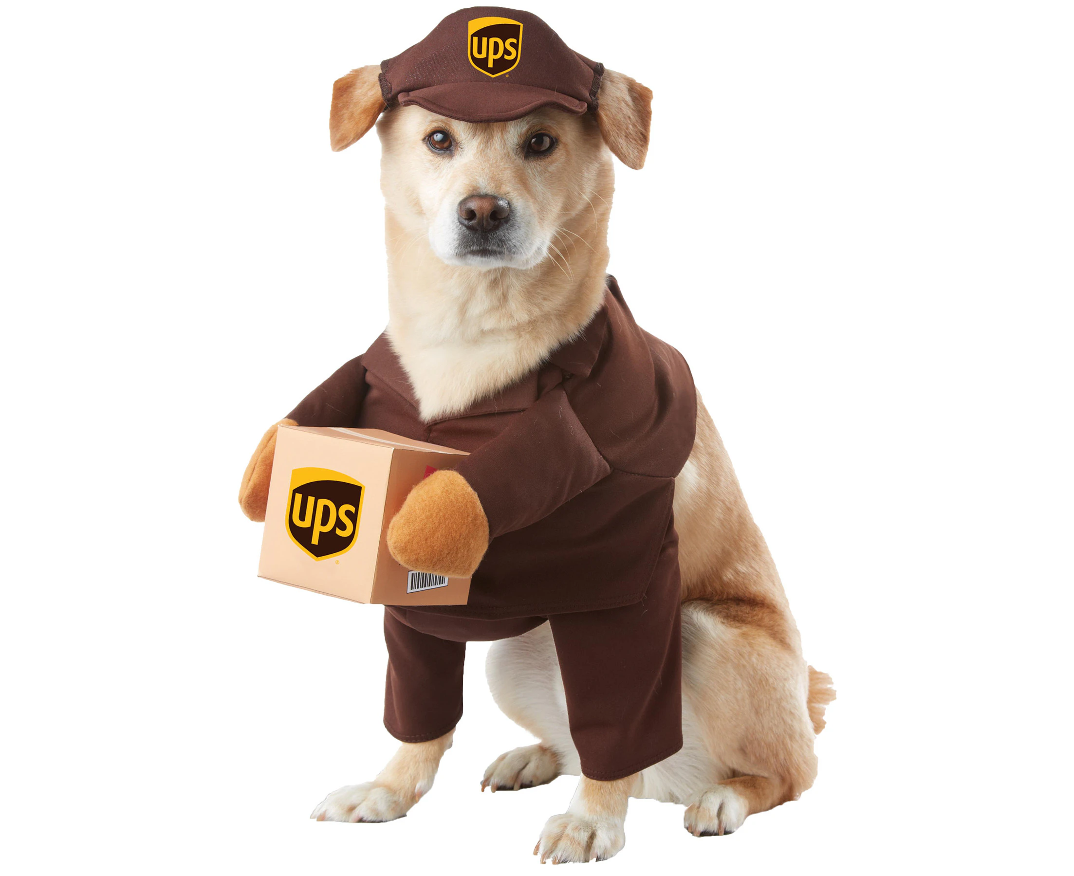 UPS Delivery Pal Pet Costume