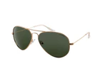North Beach Char Gold Green Polarised Sunglasses