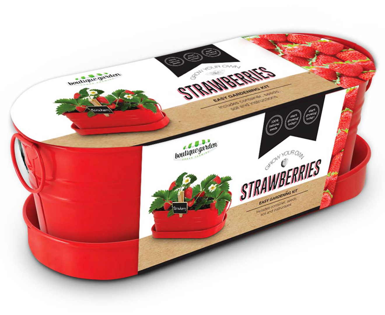 Boutique Garden Grow Your Own Windowsill Strawberry Kit Catch .au