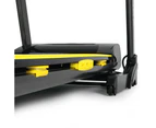 Ignite Pro T1750 Treadmill