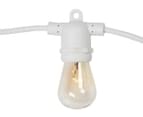 Maine & Crawford 10m 11W Outdoor String Marquee Lights - White/Warm White 5