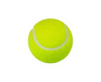 Select Mall Professional Training Tennis Balls Elasticity Practice Ball