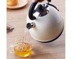 Cordless 1.8l Stainless Steel Electric Kettle Metallic White
