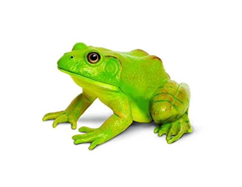 Safari Ltd  Incredible Creatures American Bullfrog