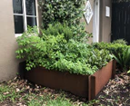 Greenlife Corten 900x900x295mm Steel Garden Bed