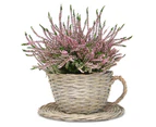 Set of 2 Willow Teacup Planters | M&W