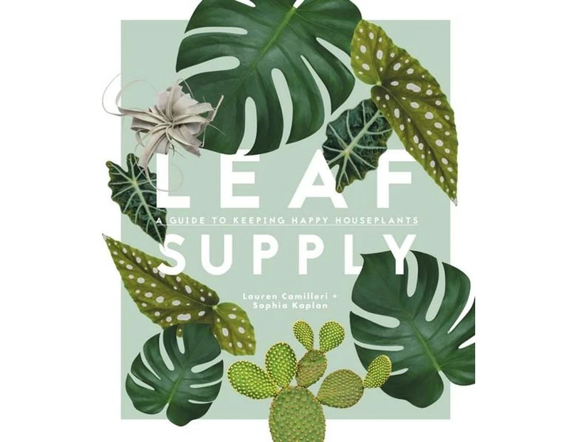 Leaf Supply : A guide to keeping happy house plants