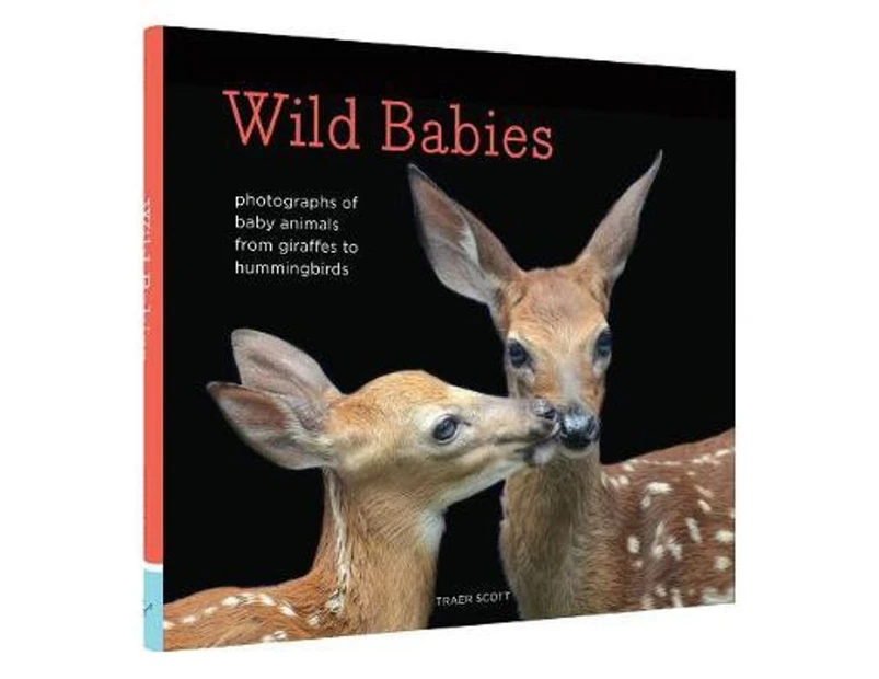 Wild Babies : Photographs of Animals in Their First Weeks of Life