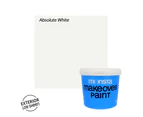 Exterior Makeover Paint - Absolute White -Low Sheen