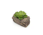 Aritifical Wood Log Pot Succulent Plant