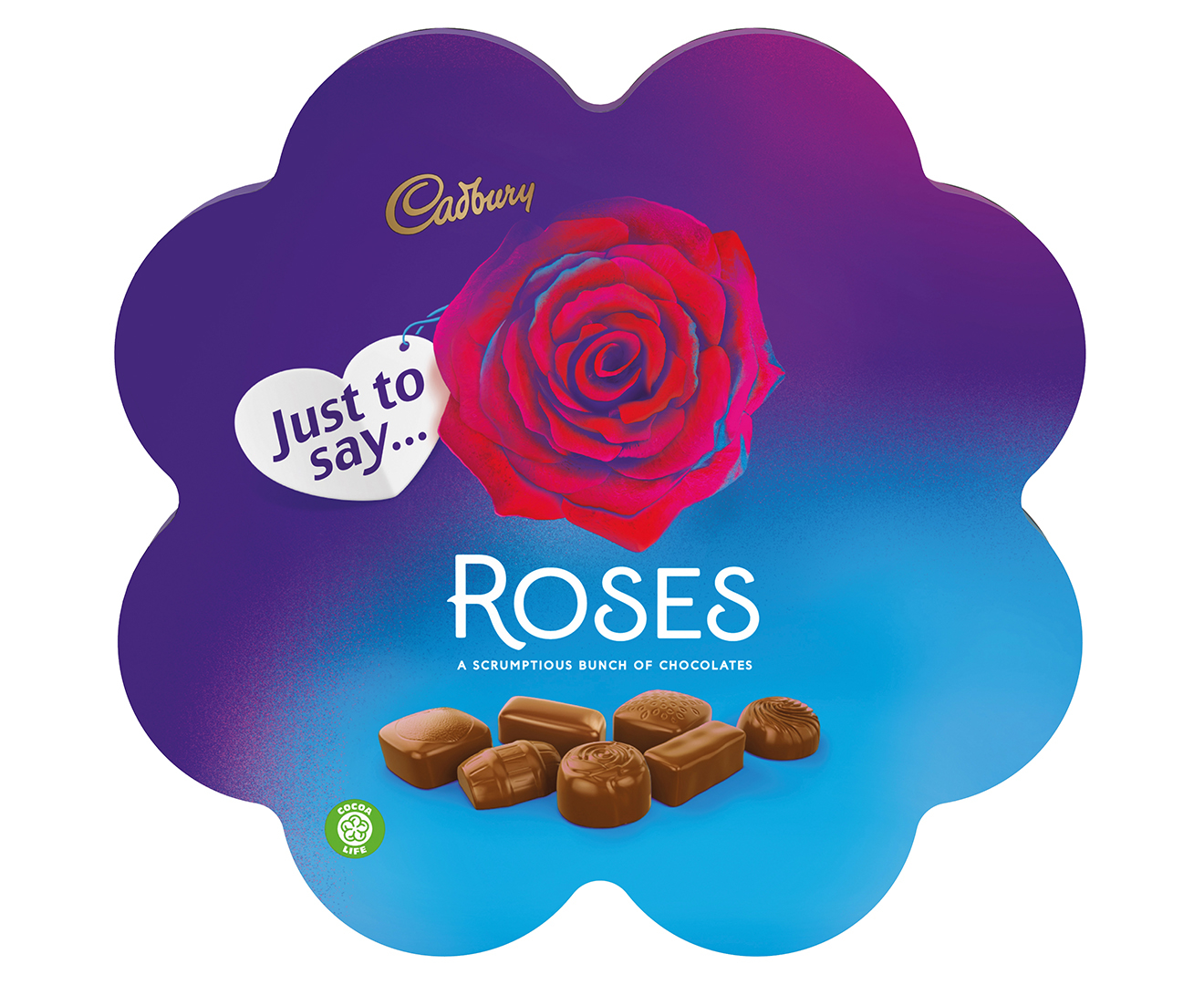 Озон шоколад. Конфеты Roses Cadbury. Розы Кэдбери. Шоколадка Роуз. Байт шоколад роза.