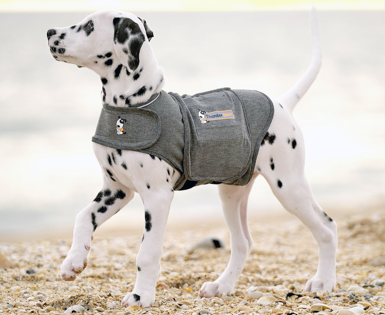 Thundershirt hot sale dog australia