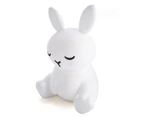 Lil Dreamers Bunny Soft Touch LED Night Light / Lamp