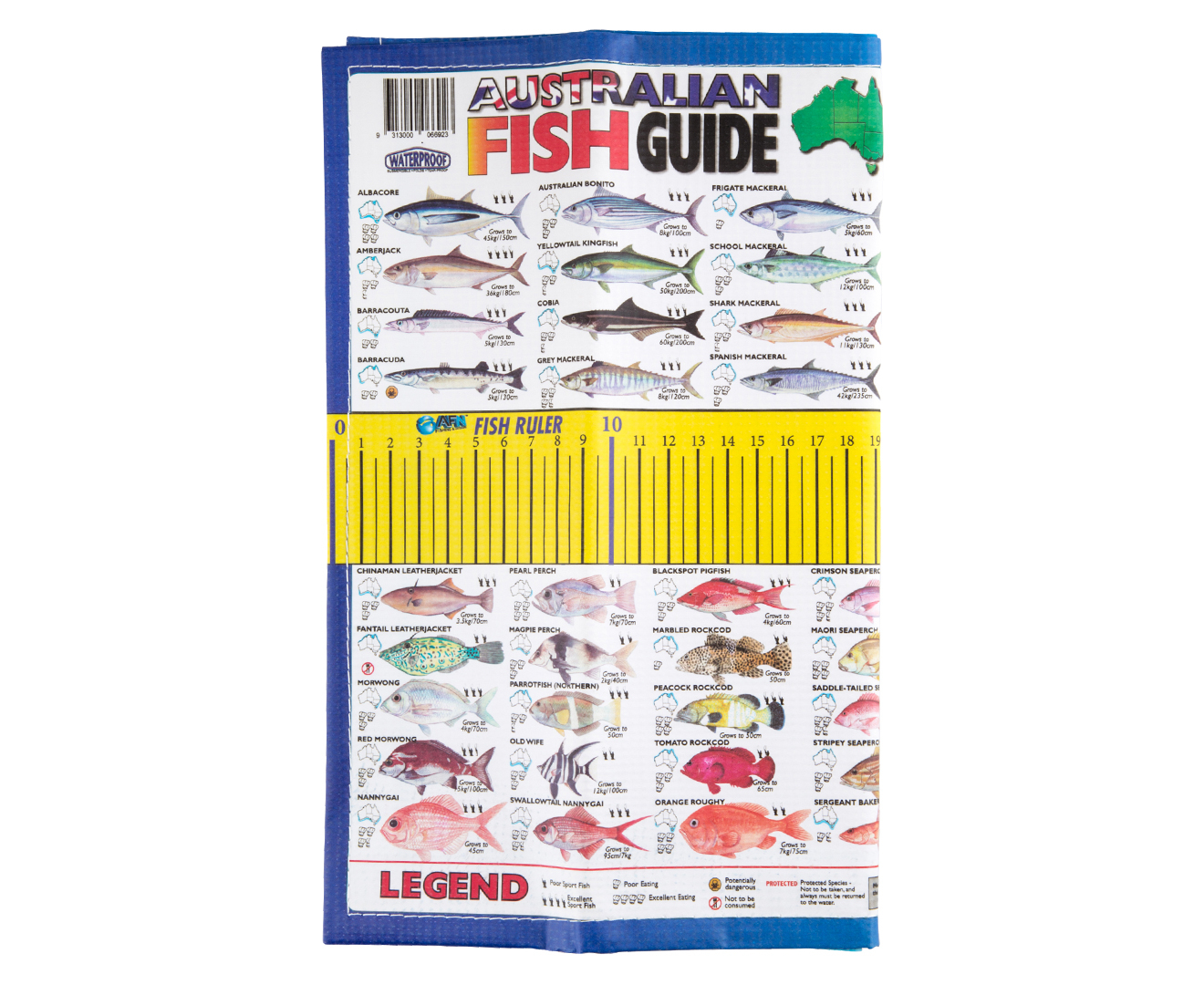 AFN Maxi Fish Ruler