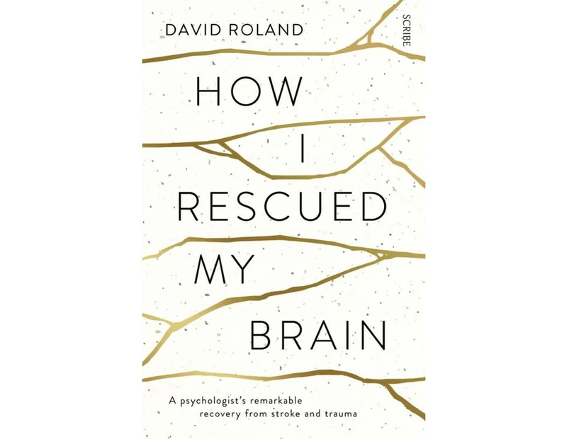 How I Rescued My Brain : A psychologist's remarkable recovery from stroke and trauma