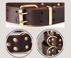 Premium Quality Genuine Leather Handmade Pet Dog Collar