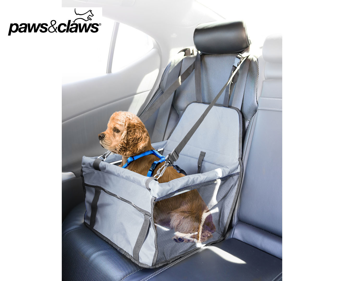 Paws & Claws Pet Car Booster Seat | Catch.co.nz