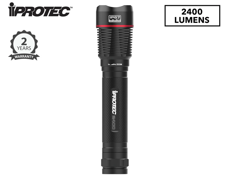 iProtec Pro2400 Torch