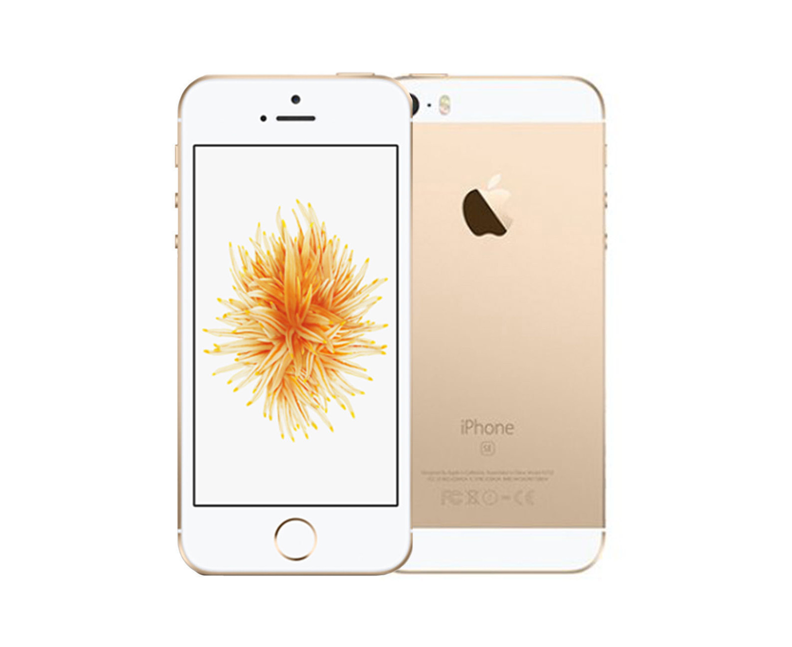 Телефон apple se. Iphone 5se Gold. Айфон se 2016. Айфон se 2016 32 ГБ. Смартфон Apple iphone se 32gb.