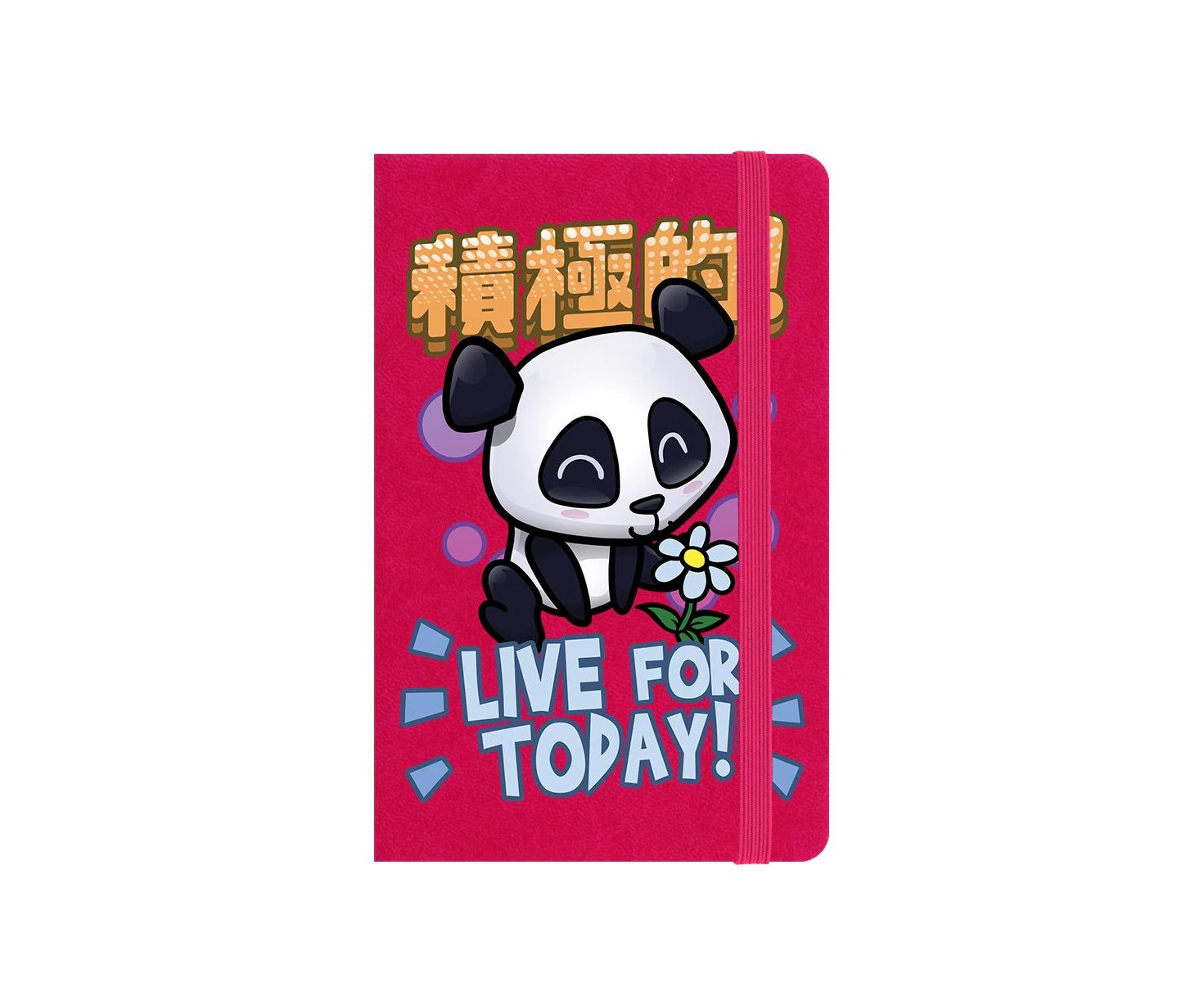 Handa Panda Live For Today A6 Hard Cover Notebook (Pink) - GR566