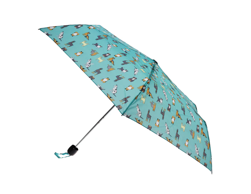X-Brella Ladies/Women Colour Print Short Canopy Compact Umbrella (Turquoise) - UM344