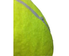 10" GIANT TENNIS BALL with BALL PUMP Air Inflator for Autographs Signatures