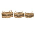 Palash (Set Of 3) Handmade Seagrass Basket
