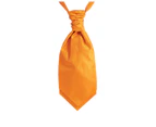 Dobell Boys Orange Cravat Dupion Pre-Tied