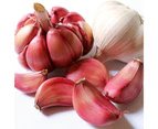 Springleaf-Garlic Oil 3000mg 365 Capsules